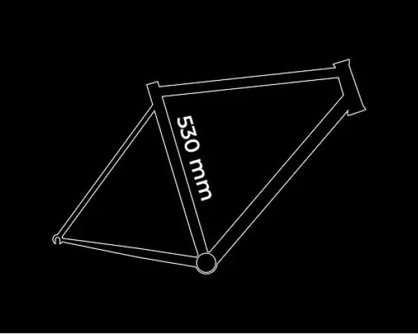Frame size: M