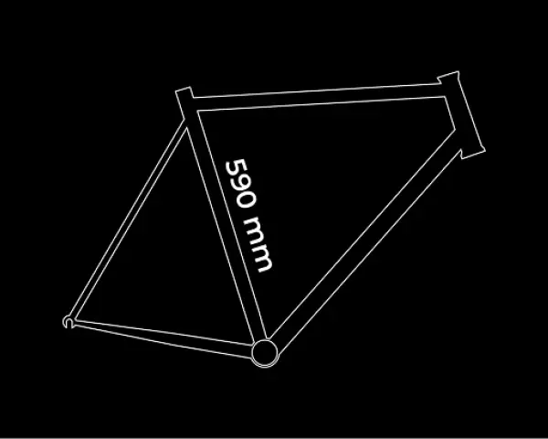 Frame size: L