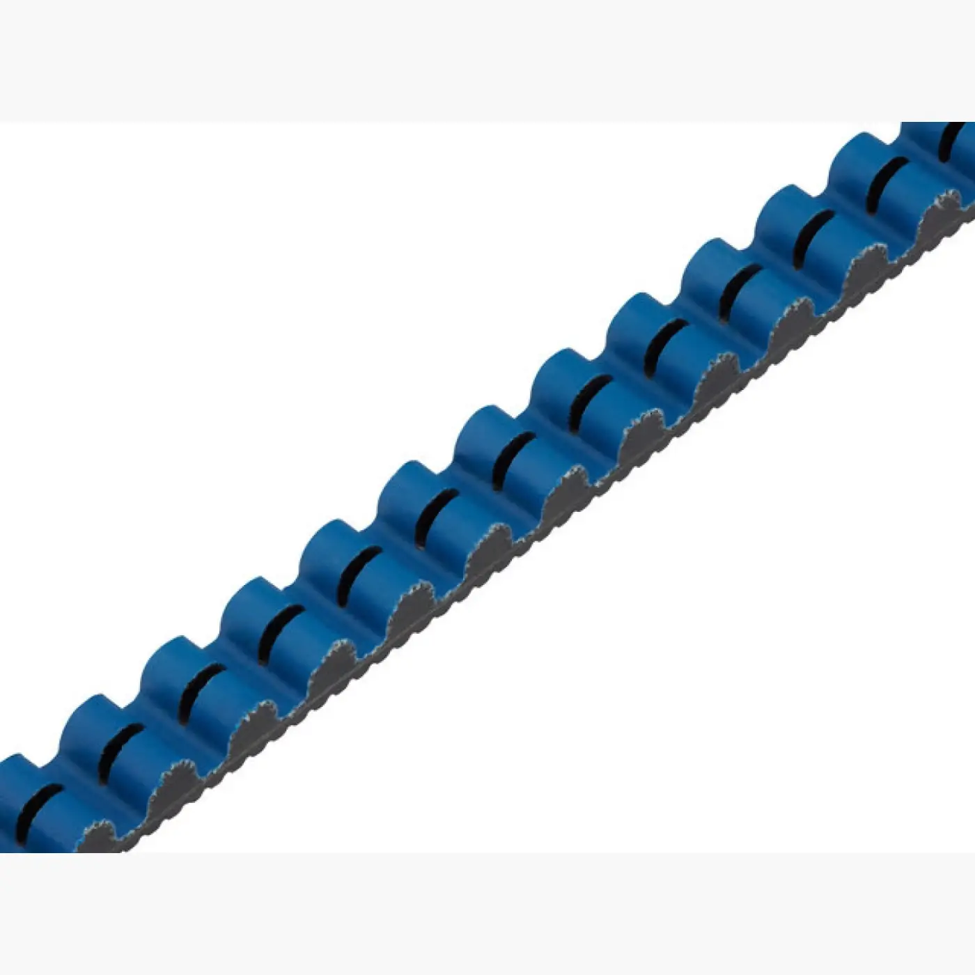 Gates CDX Belt Black/Blue -113T - Drivetrain (SKU: CDXB113)
