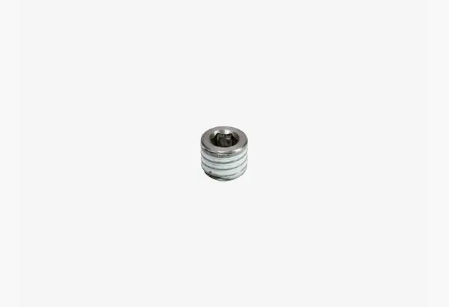 Rohloff - Drain screw (8205)