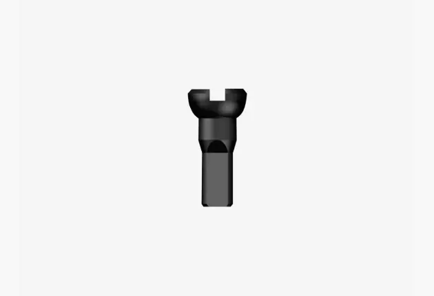 Sapim nipple (Black)