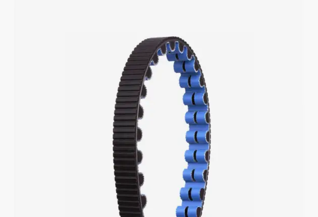 Gates CDX Belt Black/Blue