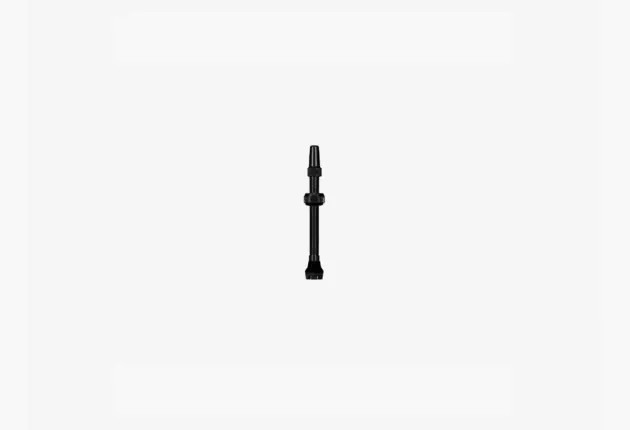 Possible tubeless valve - 60mm