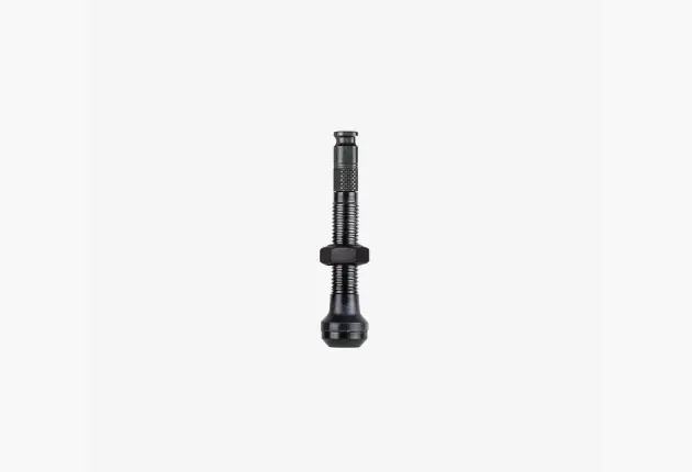 Possible Tubeless Valve