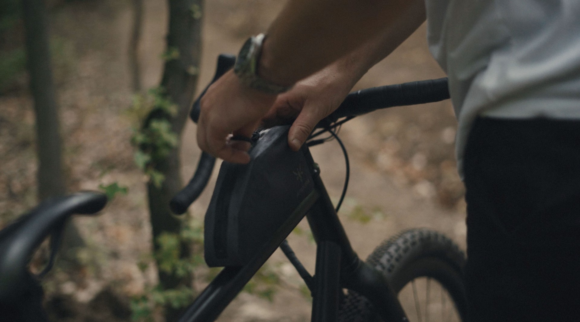 electric shifting system for rohloff